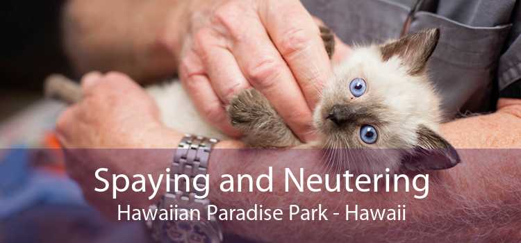 Spaying and Neutering Hawaiian Paradise Park - Hawaii
