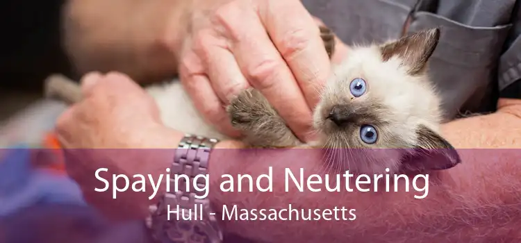 Spaying and Neutering Hull - Massachusetts