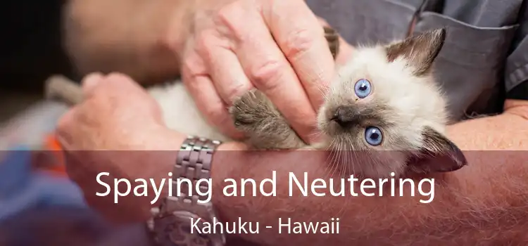 Spaying and Neutering Kahuku - Hawaii