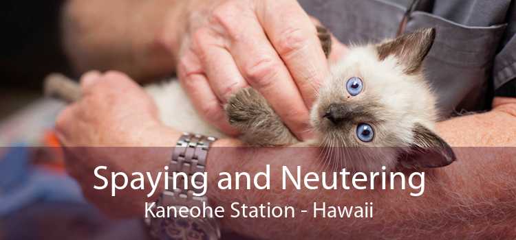 Spaying and Neutering Kaneohe Station - Hawaii