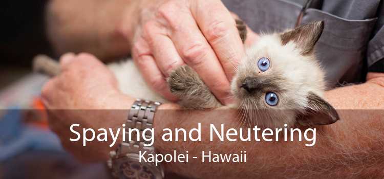Spaying and Neutering Kapolei - Hawaii