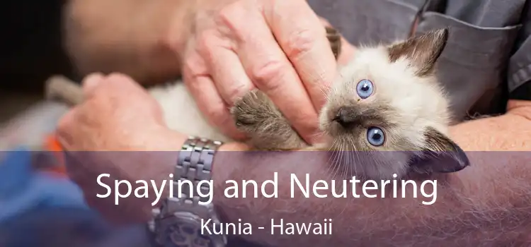 Spaying and Neutering Kunia - Hawaii