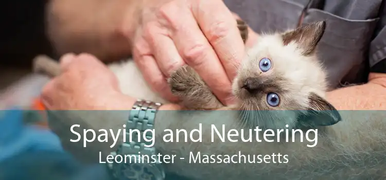 Spaying and Neutering Leominster - Massachusetts