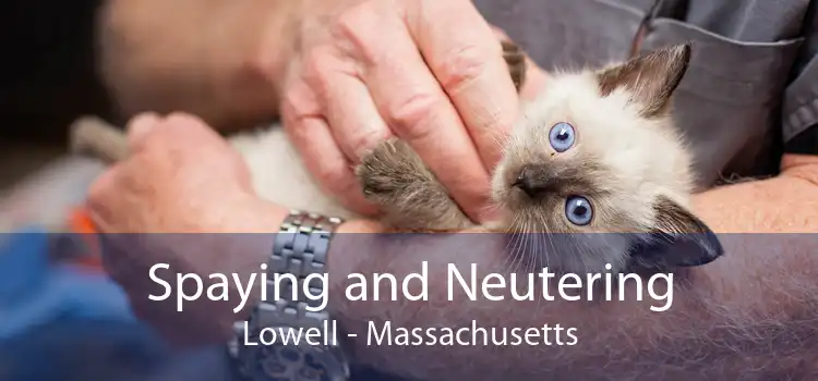 Spaying and Neutering Lowell - Massachusetts