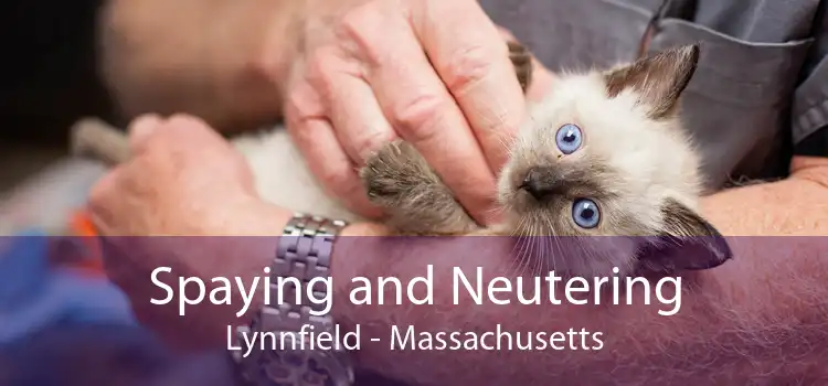Spaying and Neutering Lynnfield - Massachusetts