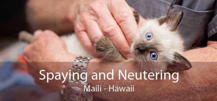 Spaying and Neutering Maili - Hawaii