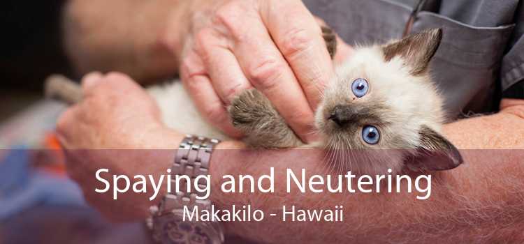 Spaying and Neutering Makakilo - Hawaii