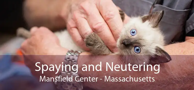 Spaying and Neutering Mansfield Center - Massachusetts
