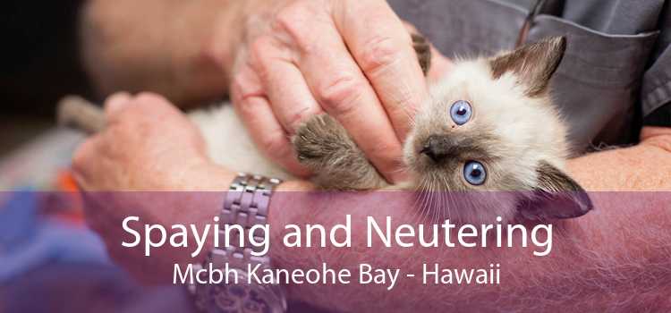 Spaying and Neutering Mcbh Kaneohe Bay - Hawaii