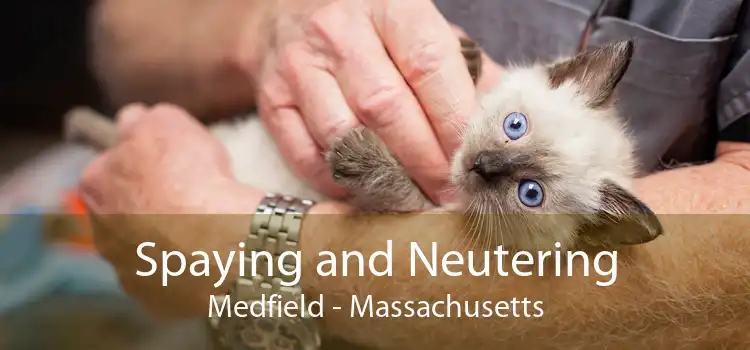 Spaying and Neutering Medfield - Massachusetts
