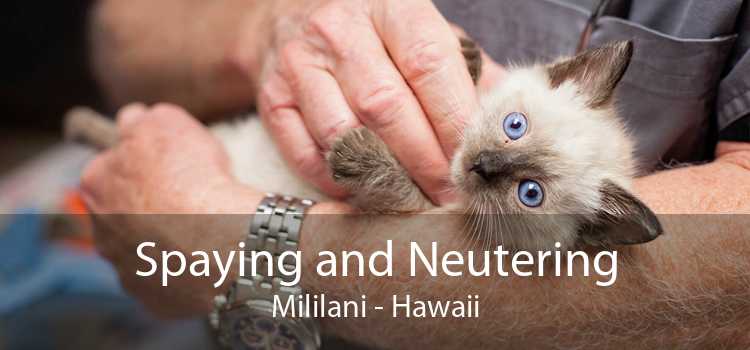 Spaying and Neutering Mililani - Hawaii
