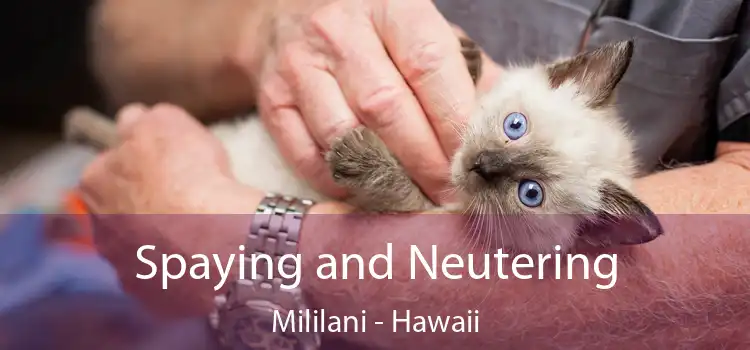 Spaying and Neutering Mililani - Hawaii