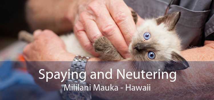 Spaying and Neutering Mililani Mauka - Hawaii