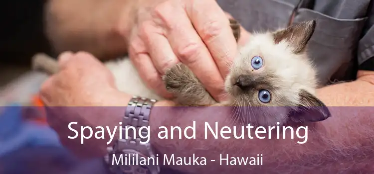 Spaying and Neutering Mililani Mauka - Hawaii