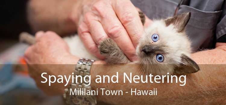 Spaying and Neutering Mililani Town - Hawaii