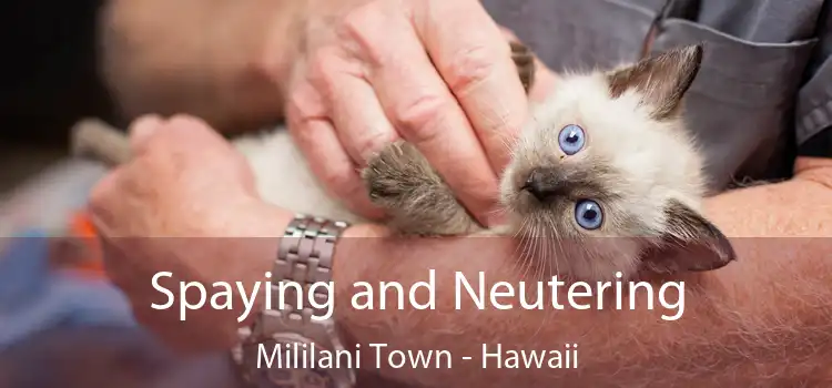 Spaying and Neutering Mililani Town - Hawaii