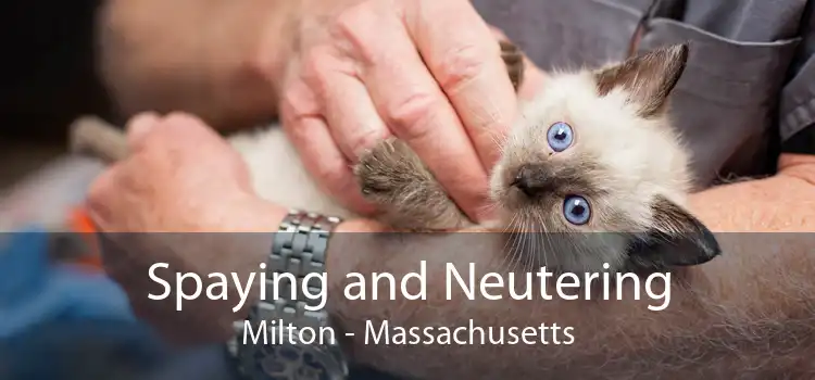 Spaying and Neutering Milton - Massachusetts