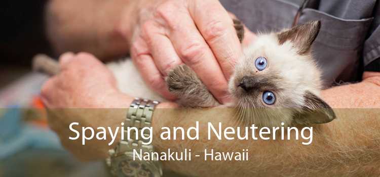 Spaying and Neutering Nanakuli - Hawaii