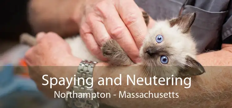 Spaying and Neutering Northampton - Massachusetts