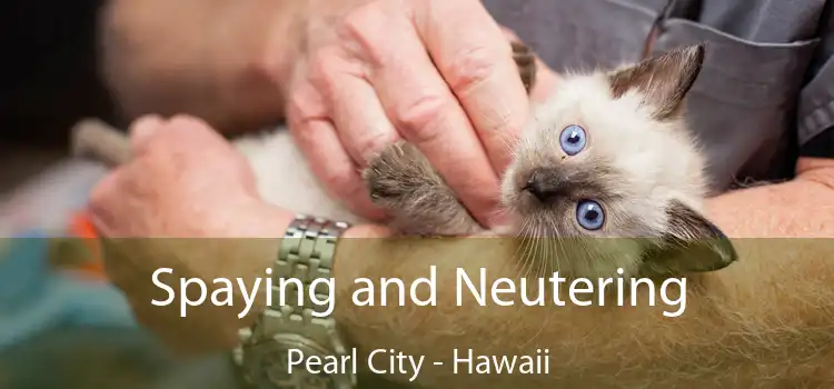 Spaying and Neutering Pearl City - Hawaii