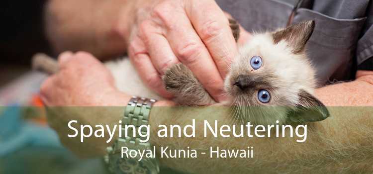 Spaying and Neutering Royal Kunia - Hawaii