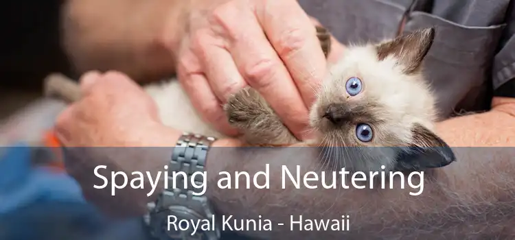 Spaying and Neutering Royal Kunia - Hawaii