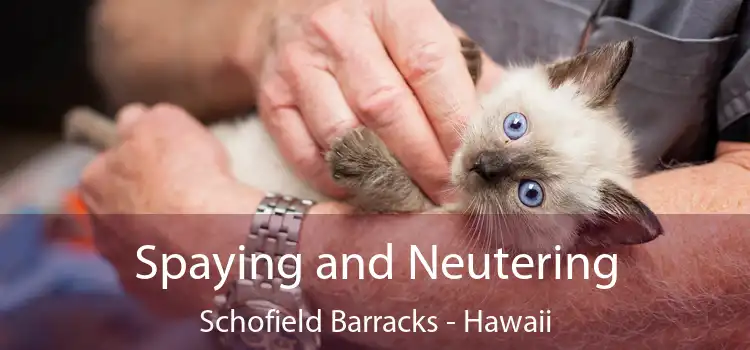Spaying and Neutering Schofield Barracks - Hawaii