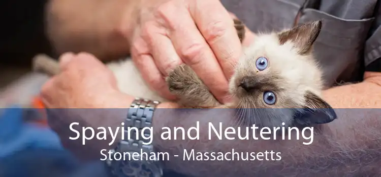 Spaying and Neutering Stoneham - Massachusetts