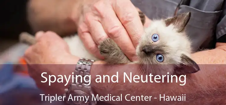 Spaying and Neutering Tripler Army Medical Center - Hawaii