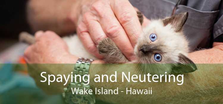 Spaying and Neutering Wake Island - Hawaii