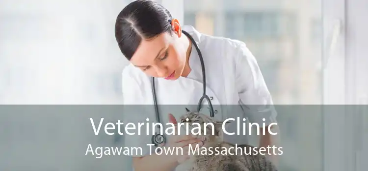Veterinarian Clinic Agawam Town Massachusetts