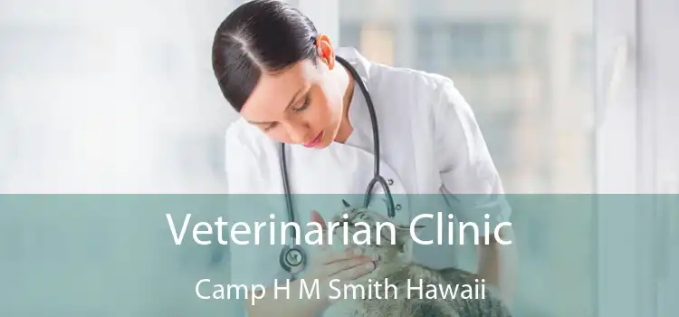 Veterinarian Clinic Camp H M Smith Hawaii