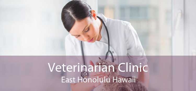 Veterinarian Clinic East Honolulu Hawaii