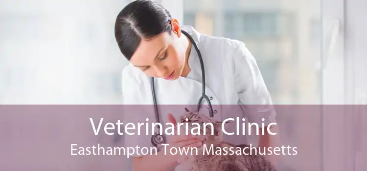 Veterinarian Clinic Easthampton Town Massachusetts