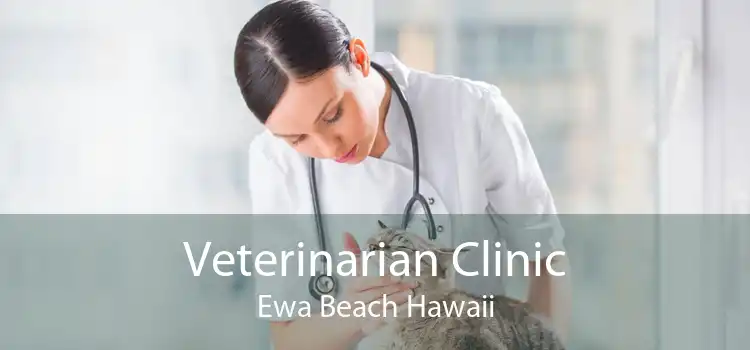 Veterinarian Clinic Ewa Beach Hawaii
