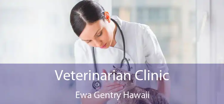 Veterinarian Clinic Ewa Gentry Hawaii