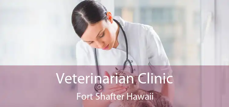 Veterinarian Clinic Fort Shafter Hawaii