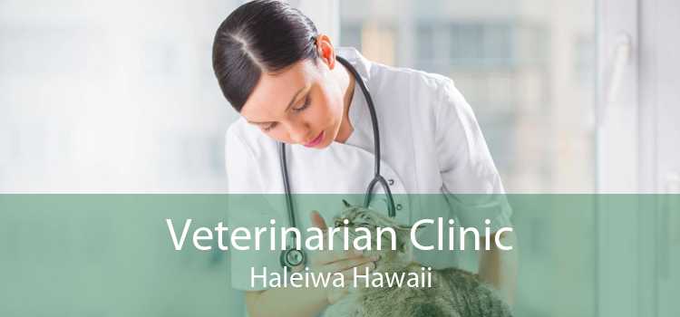 Veterinarian Clinic Haleiwa Hawaii