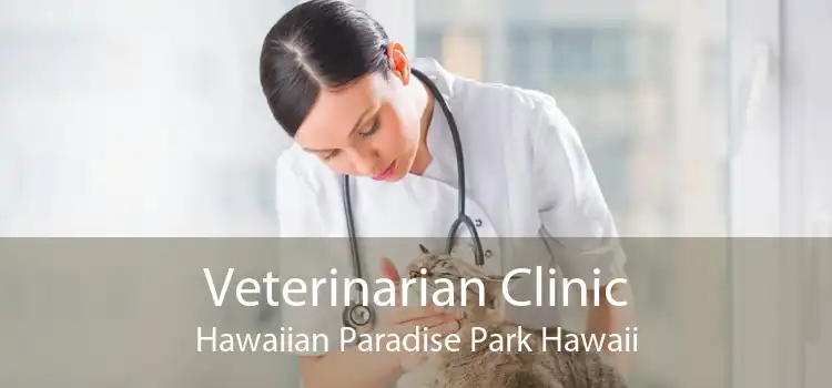 Veterinarian Clinic Hawaiian Paradise Park Hawaii