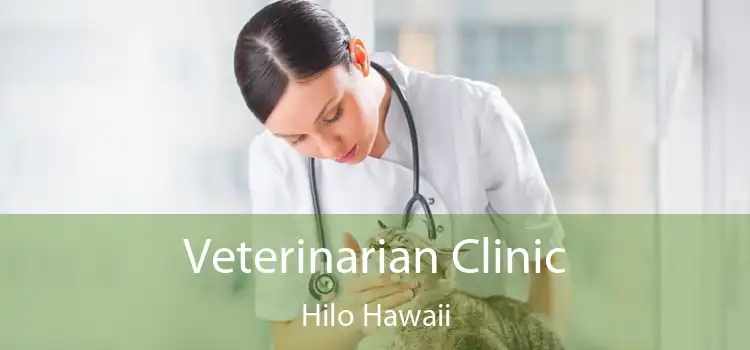 Veterinarian Clinic Hilo Hawaii