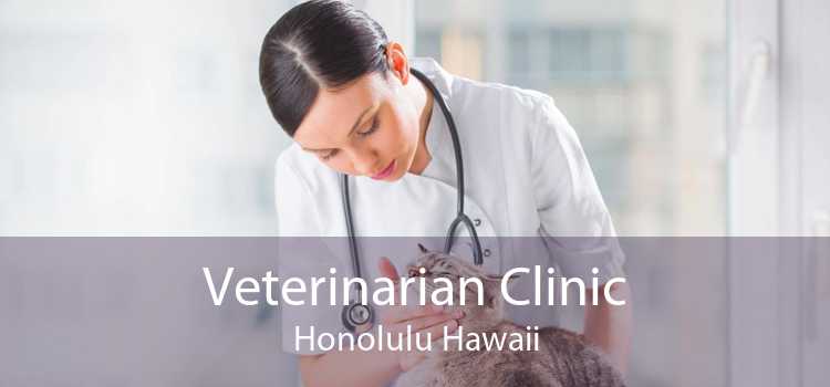 Veterinarian Clinic Honolulu Hawaii