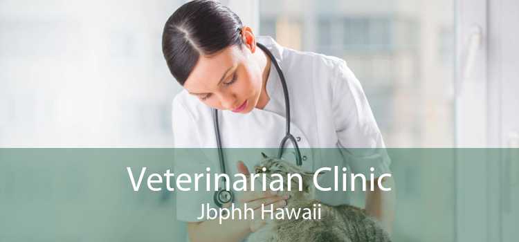Veterinarian Clinic Jbphh Hawaii