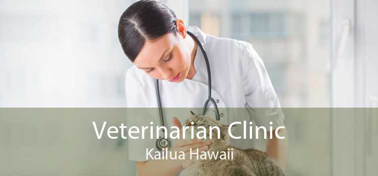 Veterinarian Clinic Kailua Hawaii
