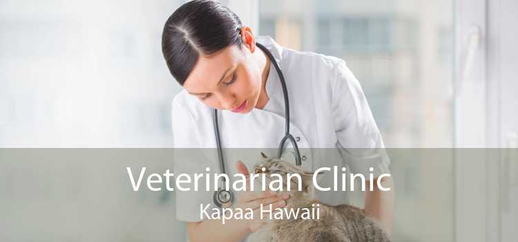 Veterinarian Clinic Kapaa Hawaii