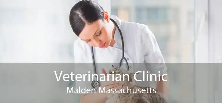 Veterinarian Clinic Malden Massachusetts