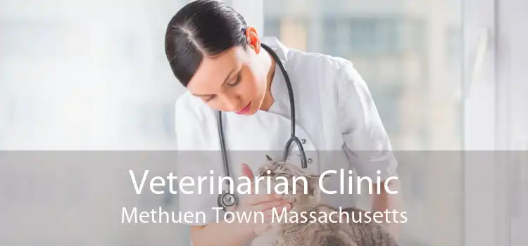 Veterinarian Clinic Methuen Town Massachusetts