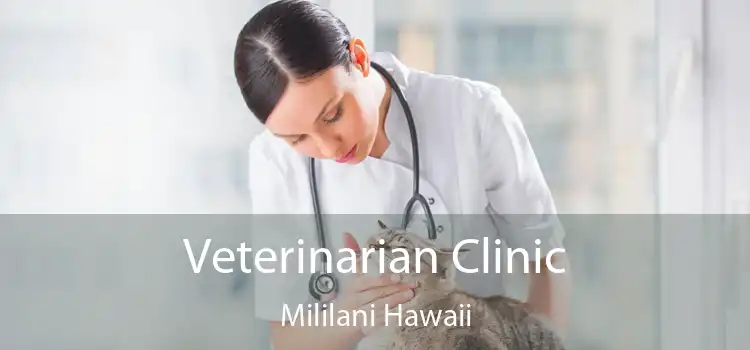 Veterinarian Clinic Mililani Hawaii
