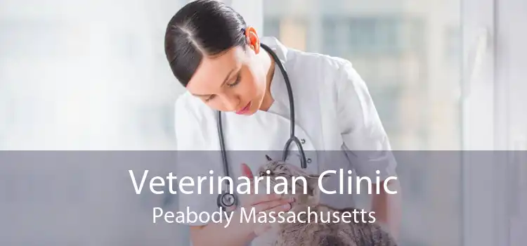 Veterinarian Clinic Peabody Massachusetts