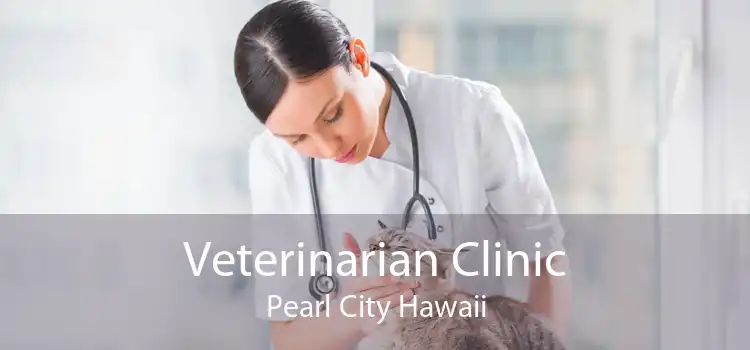 Veterinarian Clinic Pearl City Hawaii