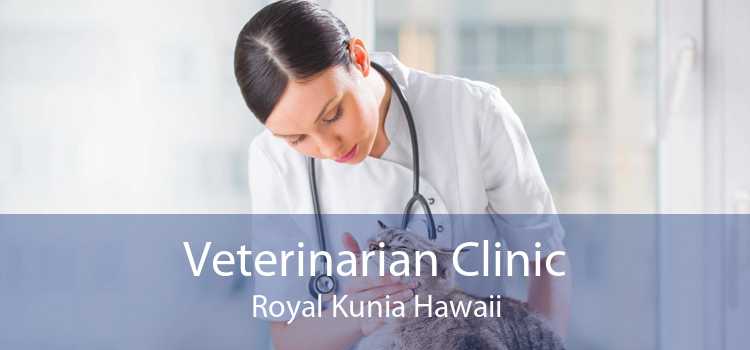 Veterinarian Clinic Royal Kunia Hawaii